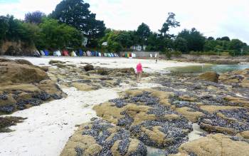 Plage du Cap Coz - France