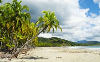 Playa Carrillo - Costa Rica