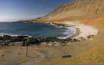 Playa El Lenguado - Chile
