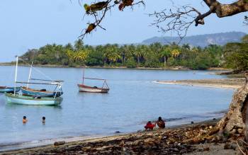 Playa Manglito - The Caribbean