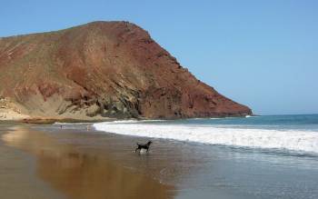 Playa de la Tejita - Spain