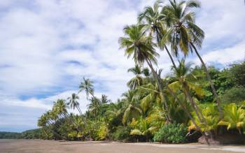 Playa Uvita - Costa Rica