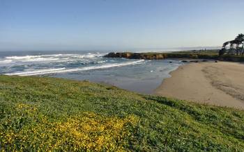 Pudding Creek Beach - USA