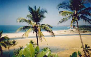 Querim Beach - India