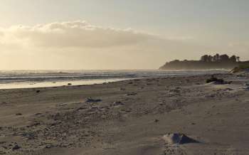 Rarawa Beach - New Zealand