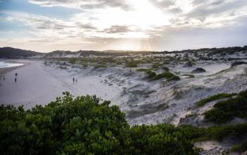 Samurai Beach - Australia