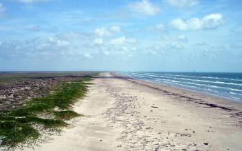 San José Island Beach - USA