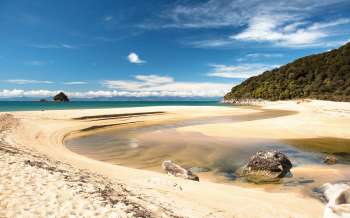 Sandfly Beach - New Zealand