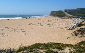 Scott Creek Beach