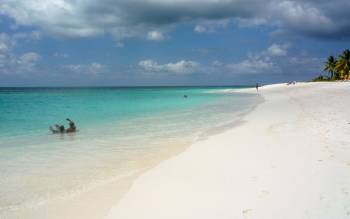 Shoal Bay - The Caribbean