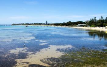 Sorrento Front Beach - Australia