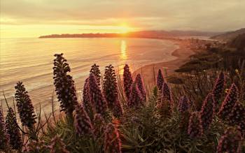 Stinson Beach - USA