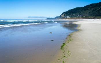 Stonefield Beach - USA