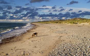 Tisvildeleje Strand - Denmark