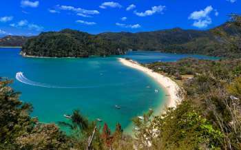 Torrent Bay - New Zealand