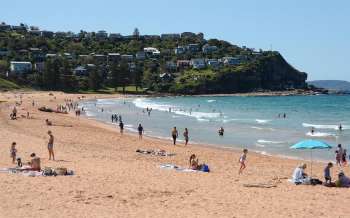 Whale Beach - Australia