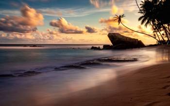 Wijaya Beach - Sri Lanka