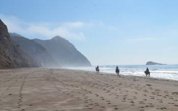 Wildcat Beach - USA