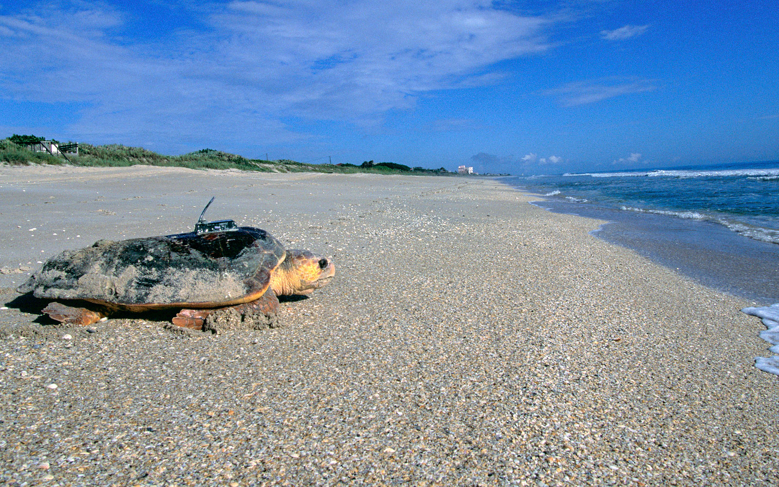 Melbourne Beach / Florida / USA // World Beach Guide
