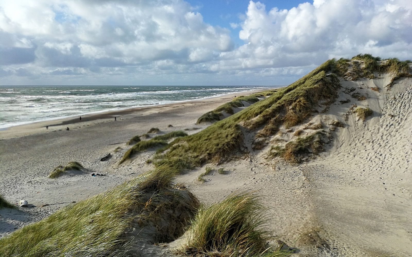 Nymindegab Strand - Denmark