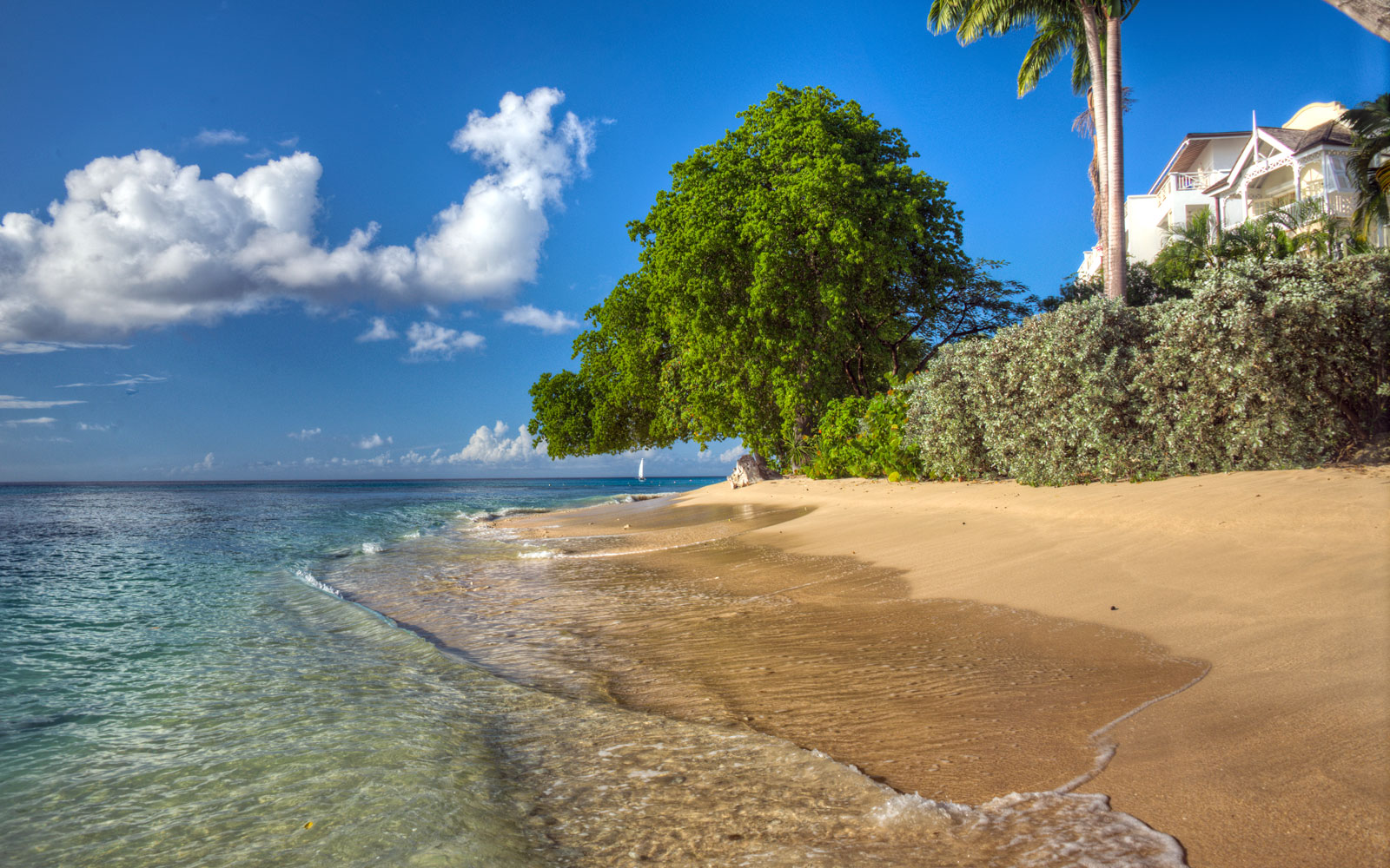 Paynes Bay Beach  Barbados  The Caribbean  World Beach Guide