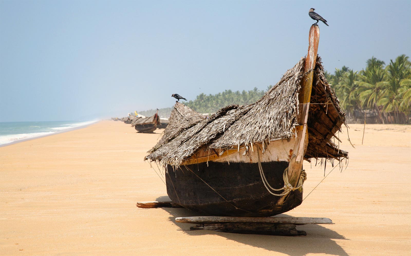 Poovar Beach Kerala India World Beach Guide