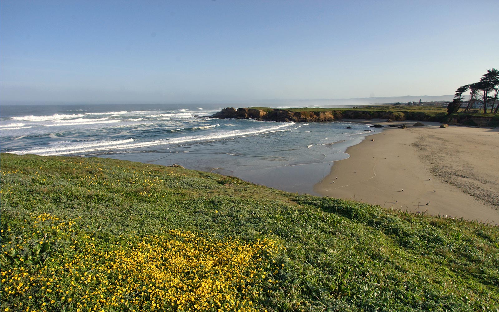 Pudding Creek Beach / Northern California / California // World Beach Guide