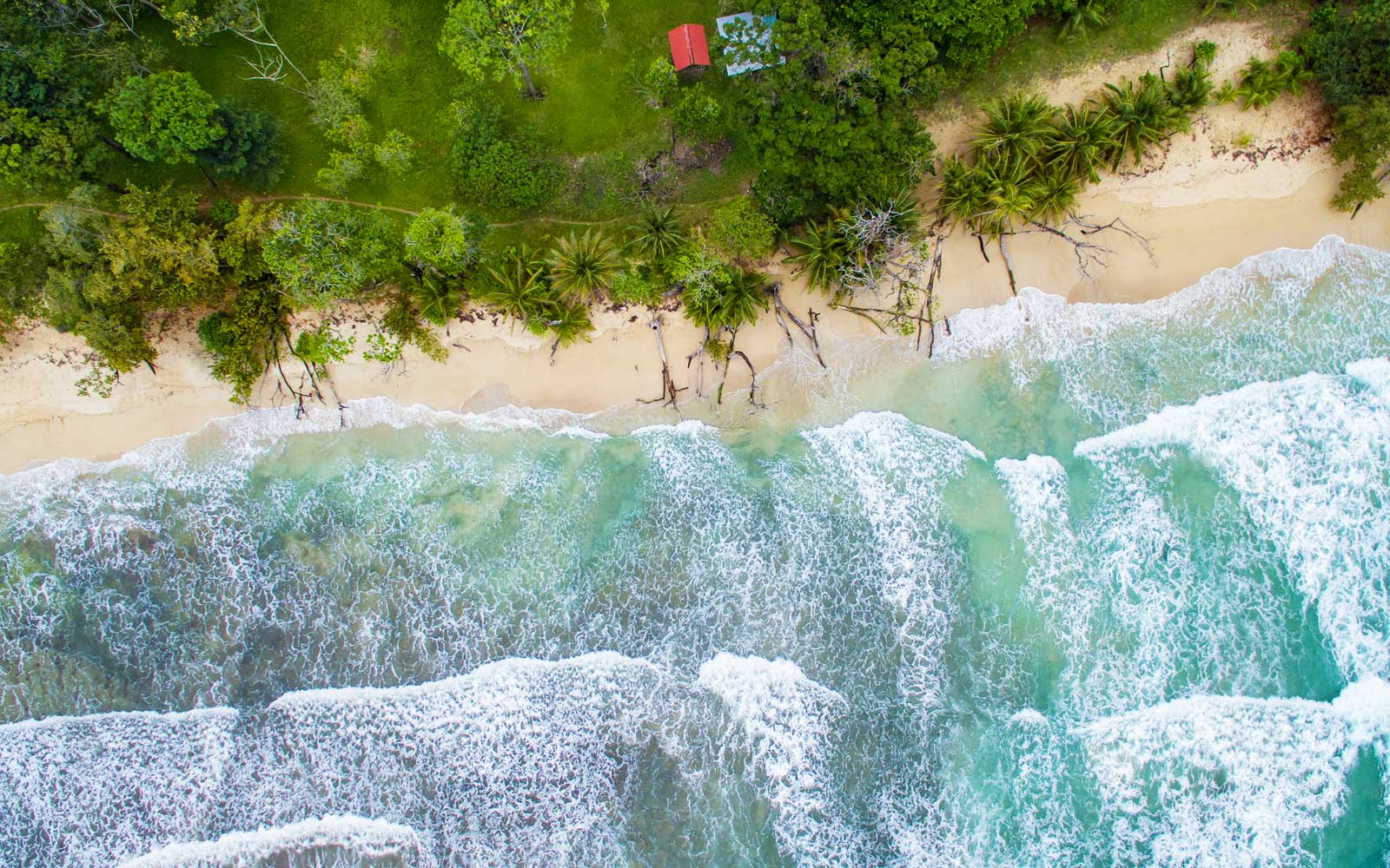 Red Frog Beach - Panama