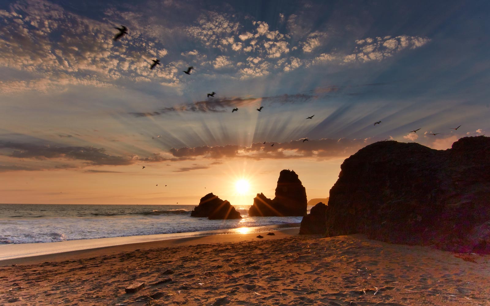 Rodeo Beach / Northern California / California // World Beach Guide