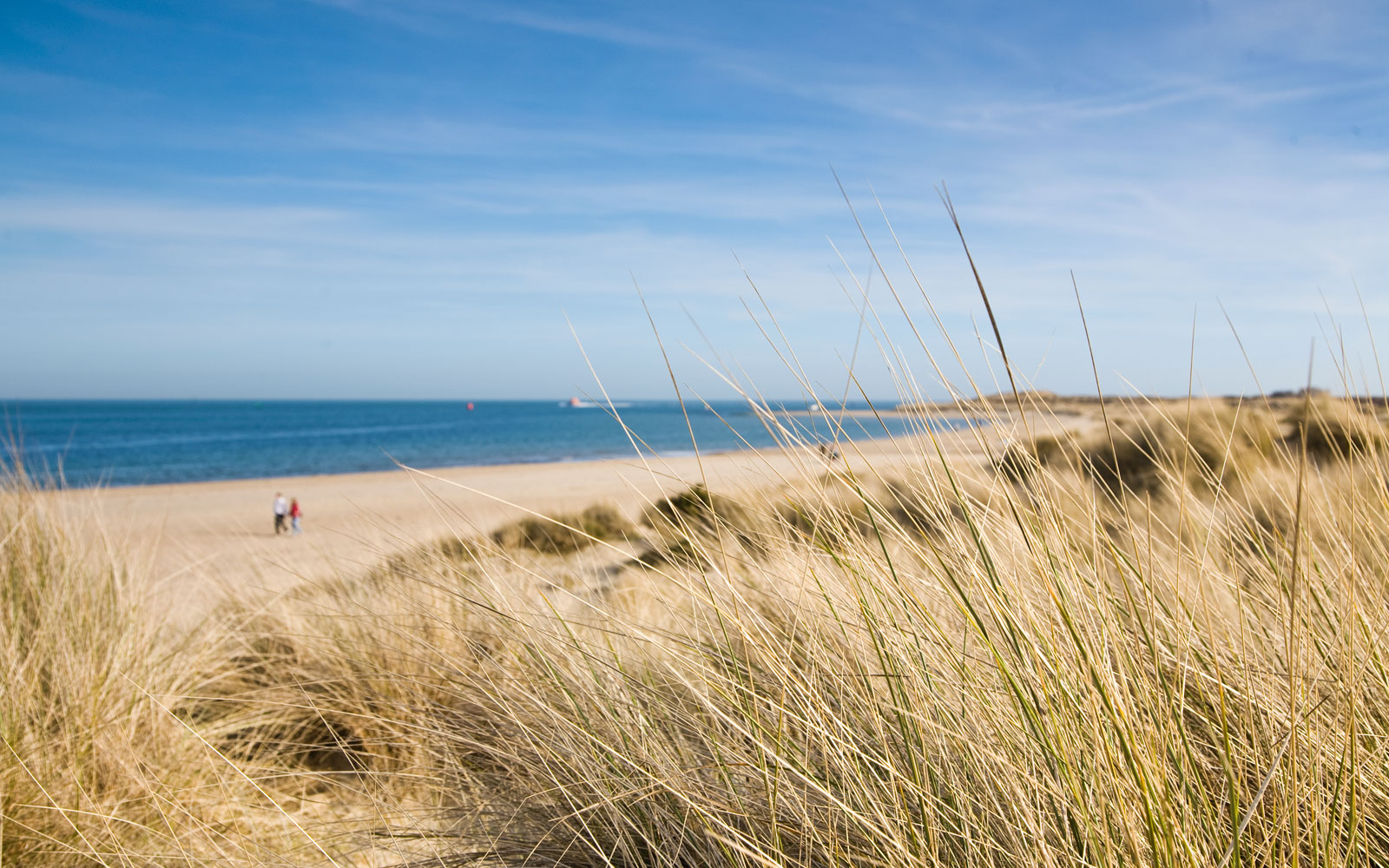 Shell Bay, Studland - UK