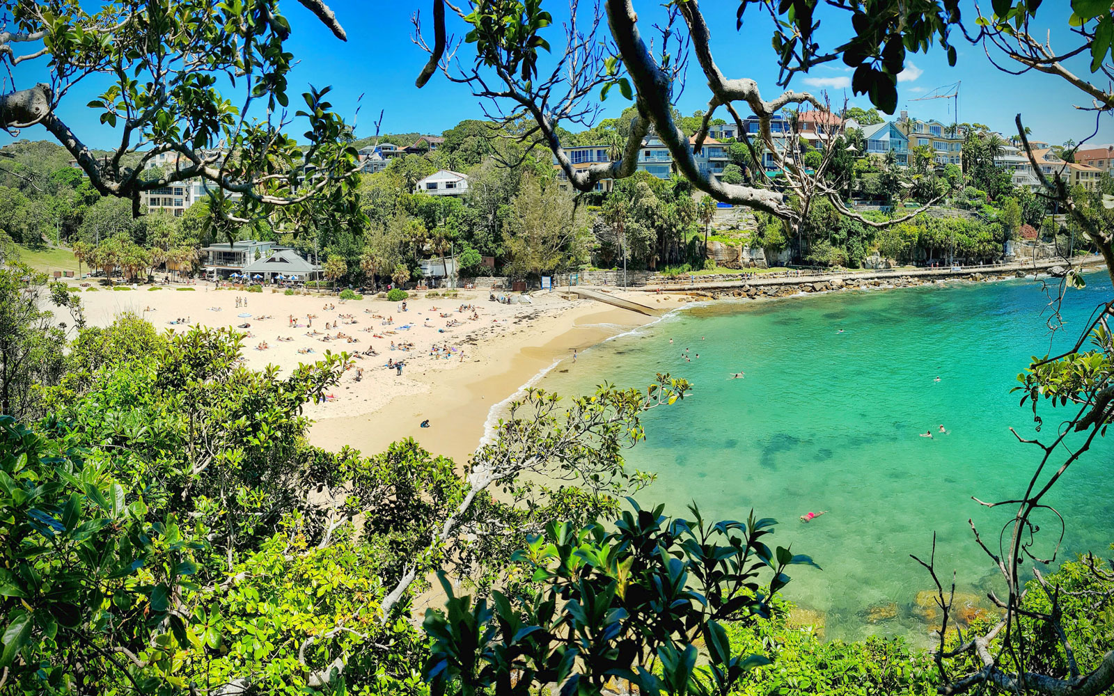 Shelly Beach / New South Wales / Australia // World Beach Guide