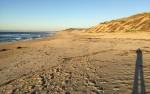 Fort Ord Dunes State Park Beach