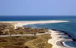 Grenen