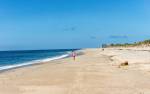 Massachusetts Dog Friendly Beaches