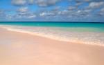 Pink Sands Beach