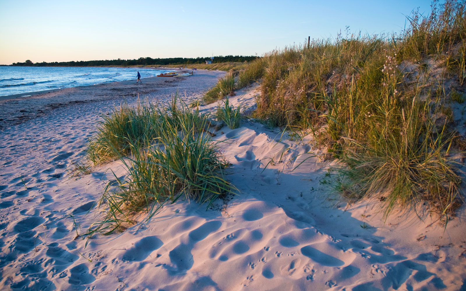 Tofta strand - Sweden