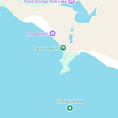 Cactus surf map