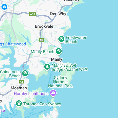 Manly surf map