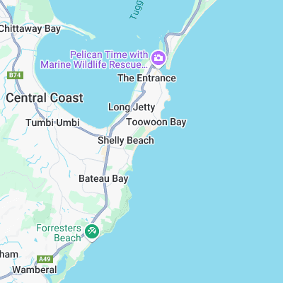 Shelly Beach surf map