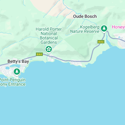 Betty's Bay surf map