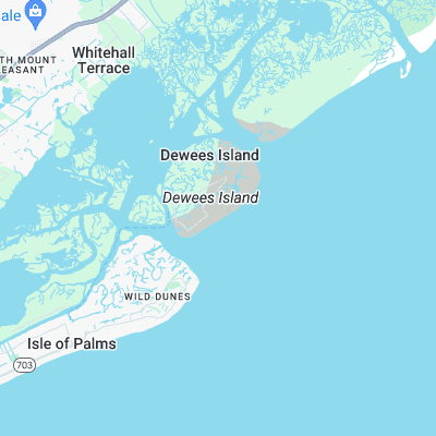 Dewees Island surf map