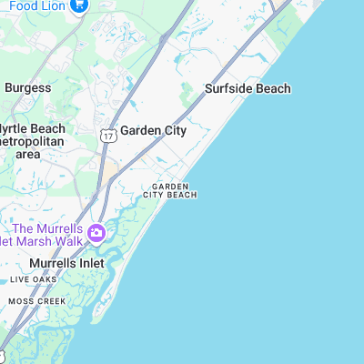 Garden City Pier surf map