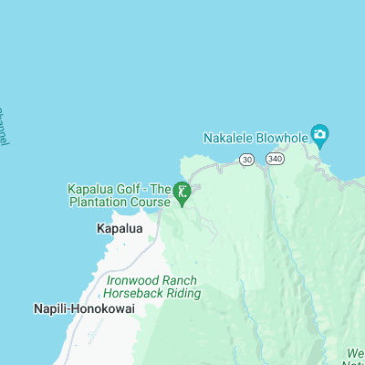 Honolua Bay surf map